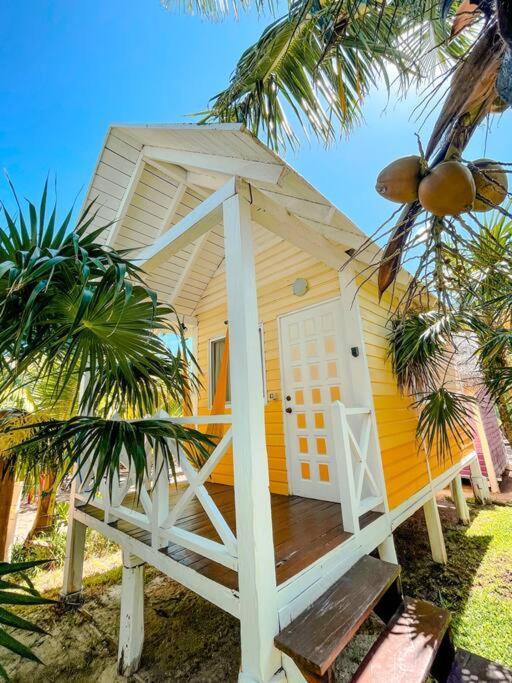 Whyknot Holbox Bed and Breakfast Eksteriør billede